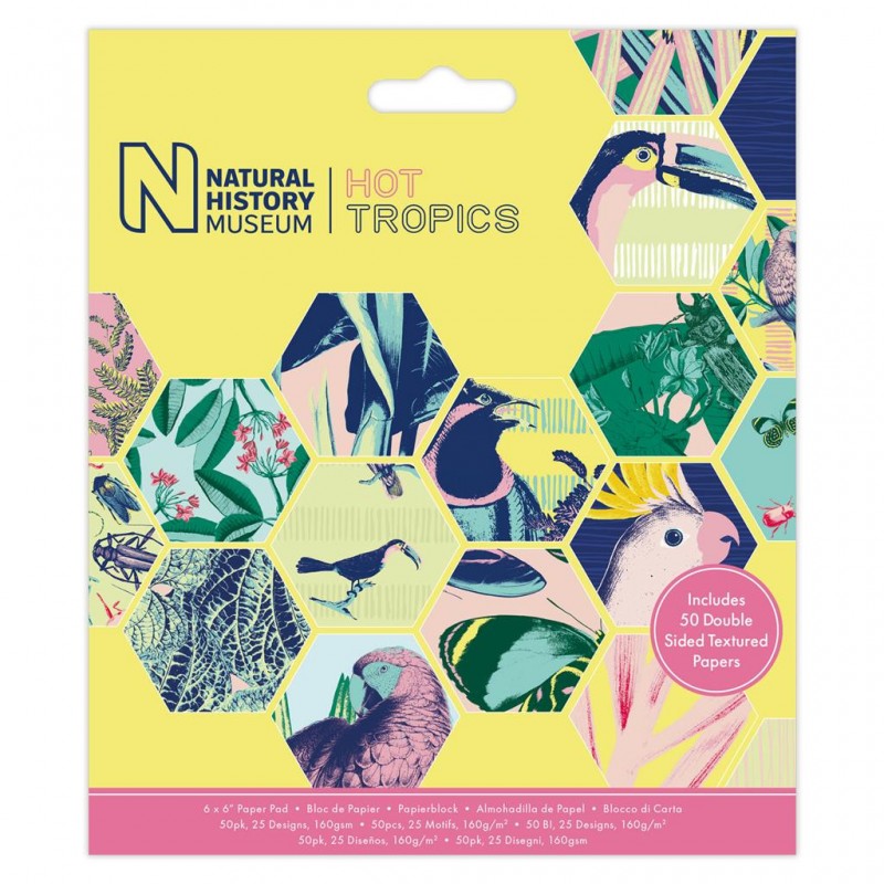 6 x 6" Paper Pad (50pk) - Hot Tropics