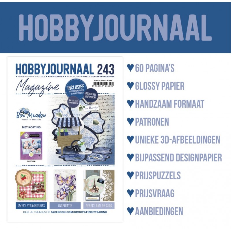 Hobbyjournaal 243