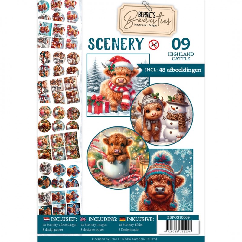 Push-Out Book Scenery 9
