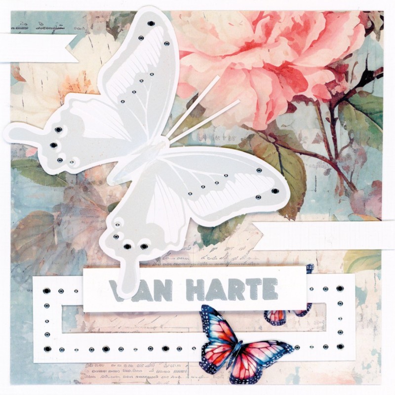 BC4K10003 - Butterfly Cards 3
