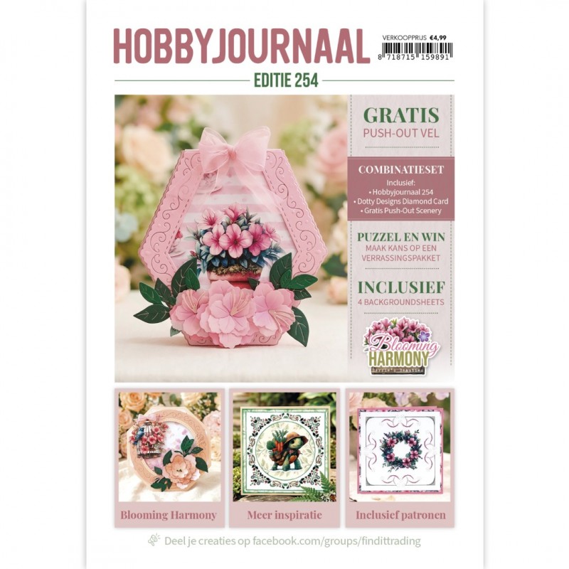 SET Hobbyjournaal 254 - DDDC1215 - 2 Swans