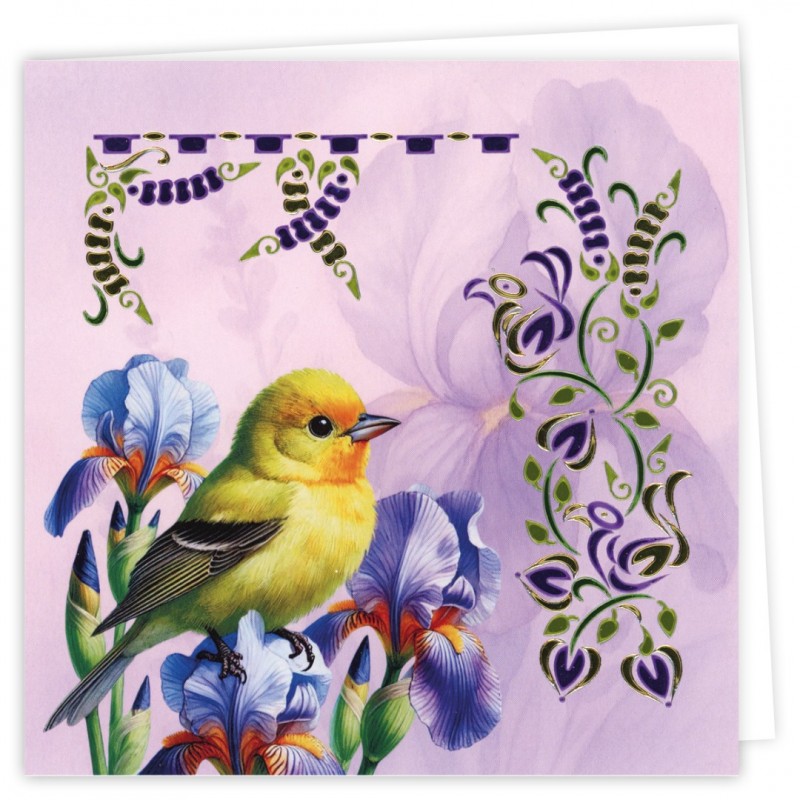 Hobbydots Cards 38 - Spring Birds