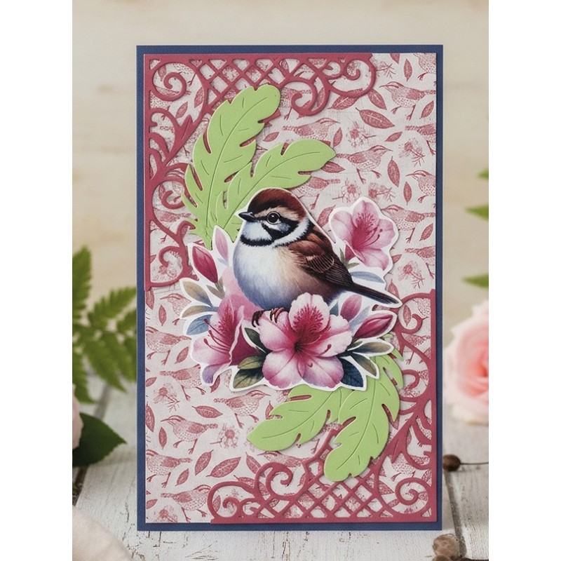 SET Hobbyjournaal 252