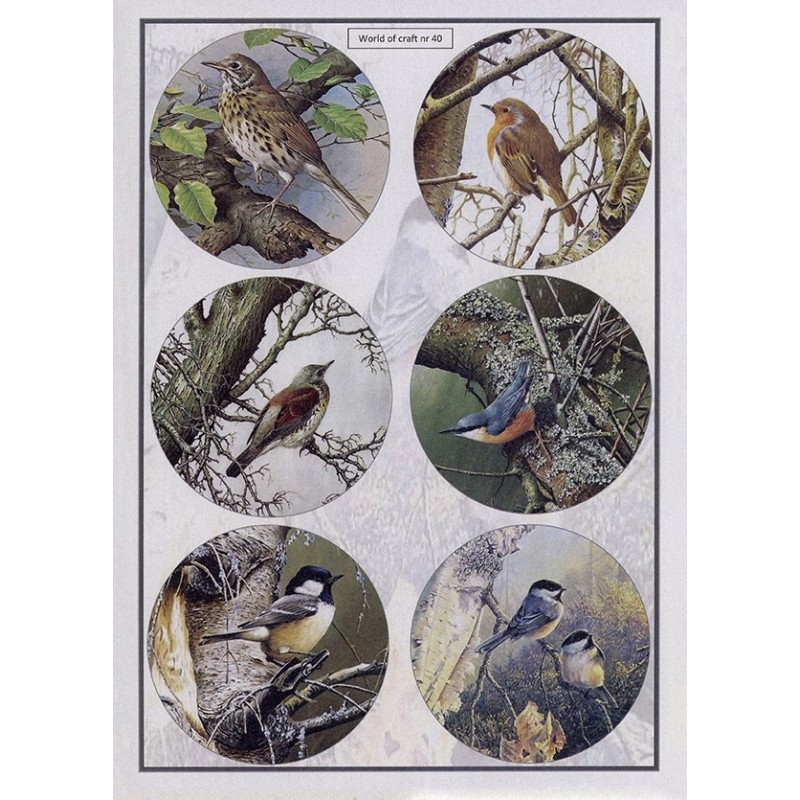 Cutting Sheet - WOC - nr 40 - Woodland Birds